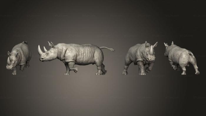 Статуэтки животных (Крупный Ходящий Носорог, STKJ_3043) 3D модель для ЧПУ станка