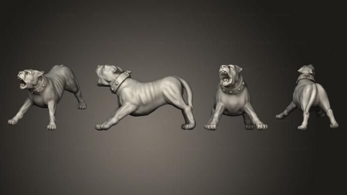 Статуэтки животных (РИМСКАЯ СОБАКА А, STKJ_3051) 3D модель для ЧПУ станка