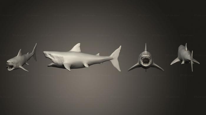 Статуэтки животных (Акула 01, STKJ_3068) 3D модель для ЧПУ станка