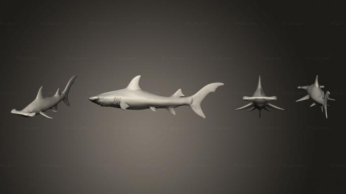 Статуэтки животных (Акула 02, STKJ_3069) 3D модель для ЧПУ станка