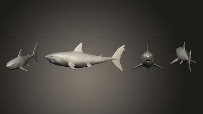 Статуэтки животных (Акула против 3, STKJ_3072) 3D модель для ЧПУ станка