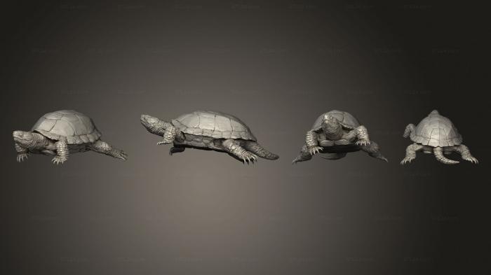 Animal figurines (Turtle v 3, STKJ_3143) 3D models for cnc