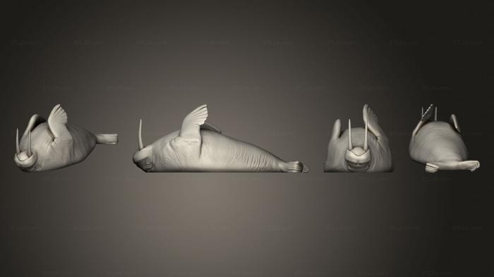 Статуэтки животных (Морж Отдыхает Большой, STKJ_3155) 3D модель для ЧПУ станка