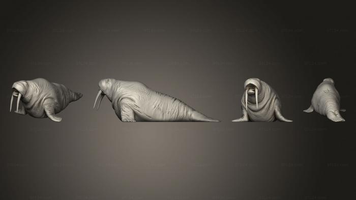 Статуэтки животных (Рев Моржа Большой, STKJ_3156) 3D модель для ЧПУ станка