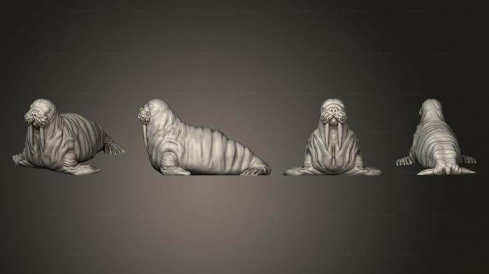 Animal figurines (Walrus Unbased, STKJ_3157) 3D models for cnc