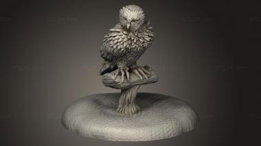 Animal figurines (Owl, STKJ_3257) 3D models for cnc