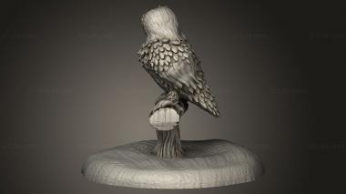 Animal figurines (Owl, STKJ_3257) 3D models for cnc