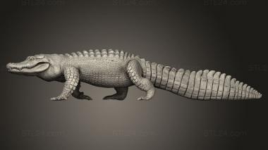 Animal figurines (Animal American Alligator walk, STKJ_3347) 3D models for cnc