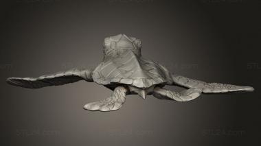 Animal figurines (Animal Leatherback Sea Turtle hatchling, STKJ_3351) 3D models for cnc