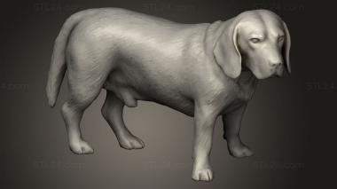 Animal figurines (beagle dog, STKJ_3437) 3D models for cnc