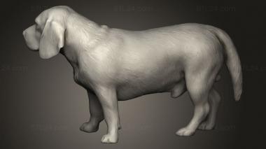 Animal figurines (beagle dog, STKJ_3437) 3D models for cnc