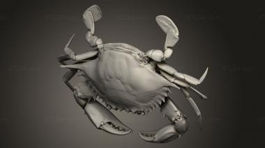 Animal figurines (blue crab master geometry, STKJ_3538) 3D models for cnc