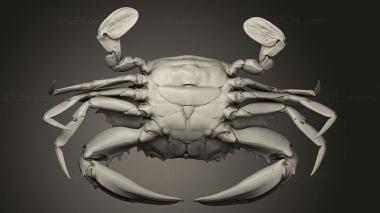 Animal figurines (blue crab master geometry, STKJ_3538) 3D models for cnc