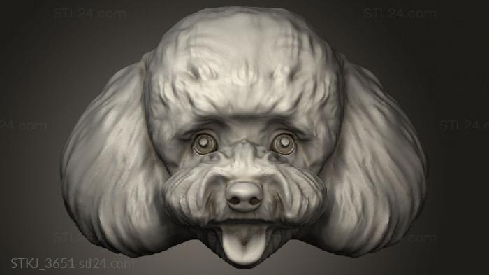 camens poodle