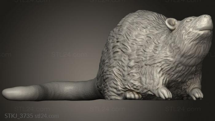 Animal figurines (Citizens the old World Rat, STKJ_3735) 3D models for cnc