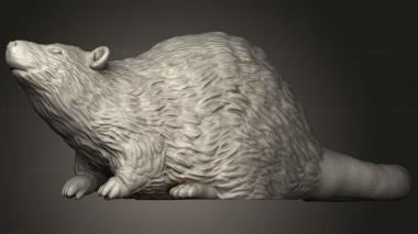 Animal figurines (Citizens the old World Rat, STKJ_3735) 3D models for cnc