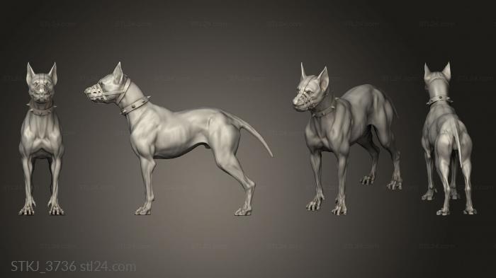 Animal figurines (City Dreams Gangster Lady Charlotte Dog Companion, STKJ_3736) 3D models for cnc