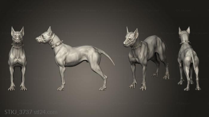 Animal figurines (City of Dreams Gangster Lady Charlotte Dog Companion, STKJ_3737) 3D models for cnc