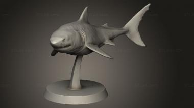 Animal figurines (Deep Waters Sharks shark, STKJ_3839) 3D models for cnc