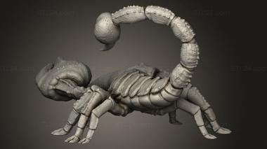 Animal figurines (Desert Adventures Grab Bag Day Scorpion, STKJ_3858) 3D models for cnc