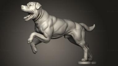 Animal figurines (Dogs Dog, STKJ_3938) 3D models for cnc