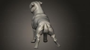 Animal figurines (Dogs Dog, STKJ_3939) 3D models for cnc