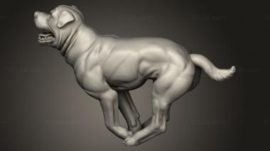 Animal figurines (Dogs Dog, STKJ_3940) 3D models for cnc