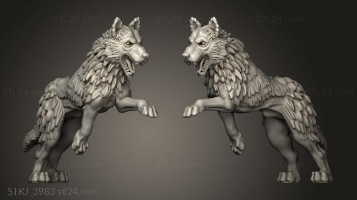 Luca Wolves wolf