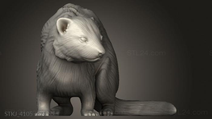 Beast Ferret