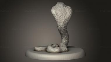 Animal figurines (Beast Snake, STKJ_4134) 3D models for cnc