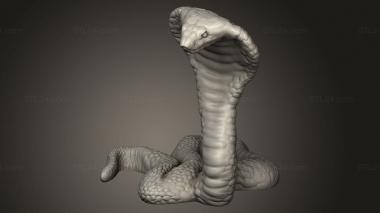 Animal figurines (Beast Snake, STKJ_4136) 3D models for cnc