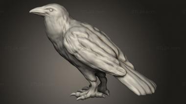 Animal figurines (Forest Crow, STKJ_4213) 3D models for cnc