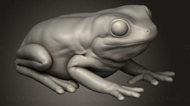 Animal figurines (Forest Frog, STKJ_4217) 3D models for cnc