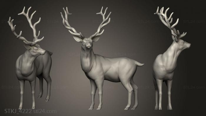 Статуэтки животных (STKJ_4222) 3D модель для ЧПУ станка