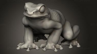 Animal figurines (Frogs Duncan Shadow Frog, STKJ_4242) 3D models for cnc