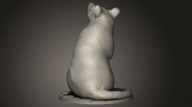 Animal figurines (Graveyard Rat, STKJ_4325) 3D models for cnc