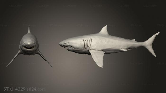 Animal figurines (Great White Shark saecong, STKJ_4329) 3D models for cnc