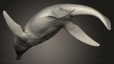 Animal figurines (Liopleurodon lio, STKJ_4614) 3D models for cnc