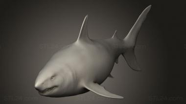 Animal figurines (Megalodon, STKJ_4675) 3D models for cnc