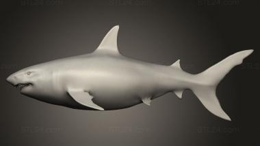 Animal figurines (Megalodon, STKJ_4675) 3D models for cnc