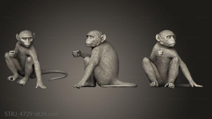 Animal figurines (monkey sitting, STKJ_4729) 3D models for cnc