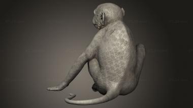 Animal figurines (monkey sitting, STKJ_4729) 3D models for cnc