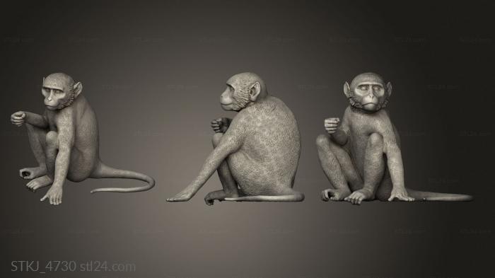 Animal figurines (monkey sitting, STKJ_4730) 3D models for cnc