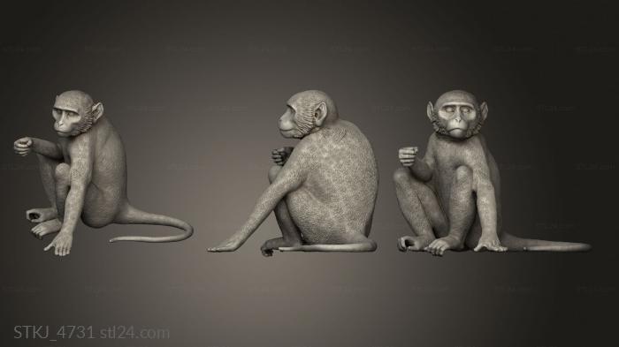 Animal figurines (monkey sitting, STKJ_4731) 3D models for cnc