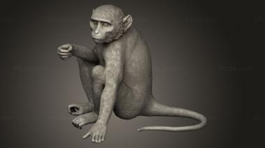 Animal figurines (monkey sitting, STKJ_4731) 3D models for cnc