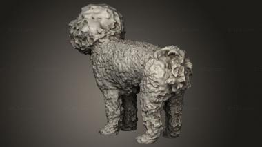 Animal figurines (poodle, STKJ_4970) 3D models for cnc