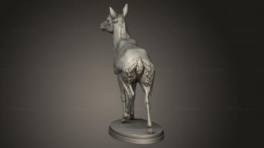 Animal figurines (Pronghorn Female, STKJ_4992) 3D models for cnc