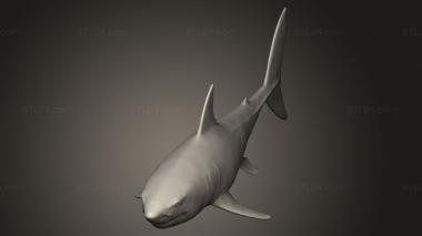 Animal figurines (shark, STKJ_5144) 3D models for cnc