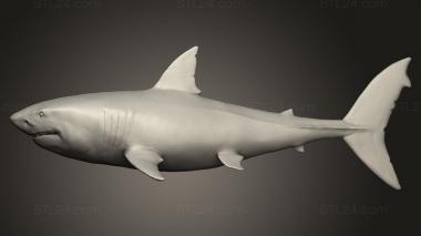 Animal figurines (shark, STKJ_5144) 3D models for cnc