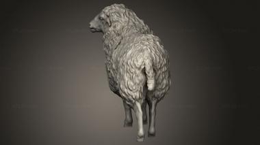 Animal figurines (Sheep, STKJ_5155) 3D models for cnc